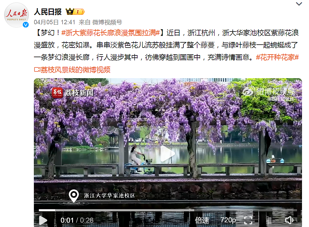 【人民日报】#浙大紫藤花长廊浪漫氛围拉满# 华家池校区的紫藤长廊又上热搜了！