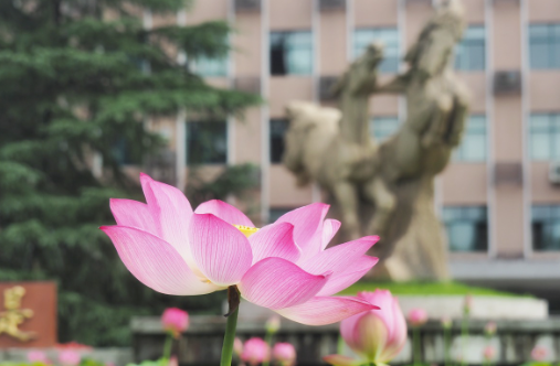 浙江大学干部教育学研究生暑期实训剪影（一）