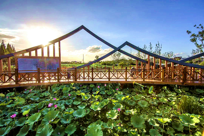 新宇村（杭州市临平区运河街道）