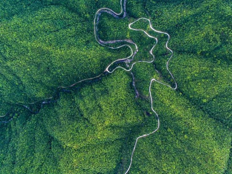 事关全省国有林场，浙江发布中长期发展规划！