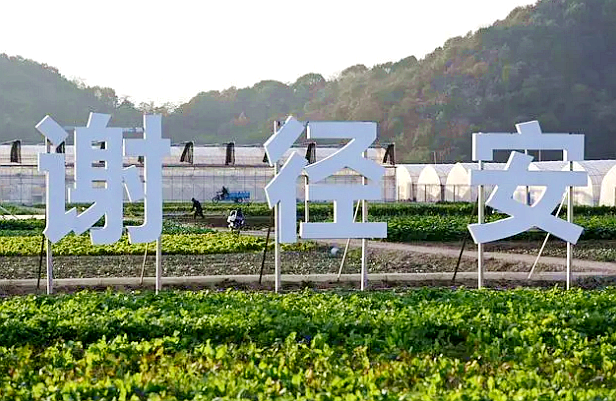 谢径安 · 传化农创村