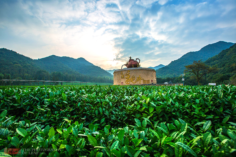 领导干部数字经济培训