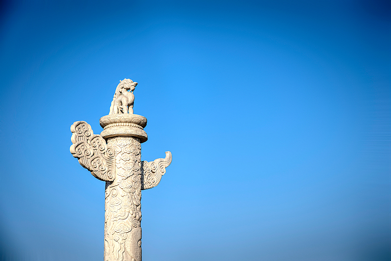 党政干部培训班纪律及培训要求有哪些？