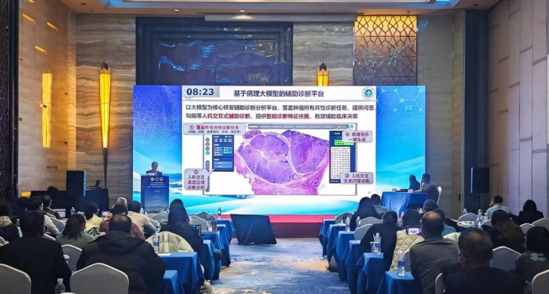 浙大病理AI助手，3秒锁定癌症病灶！