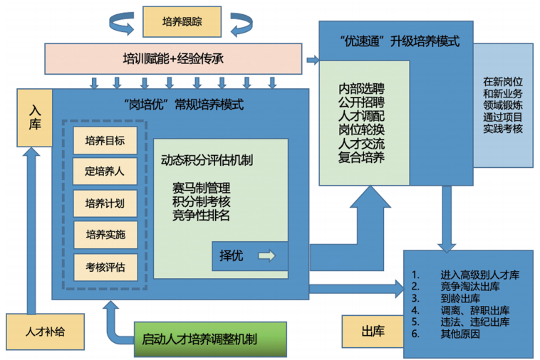 企业如何建库培养青年人才？