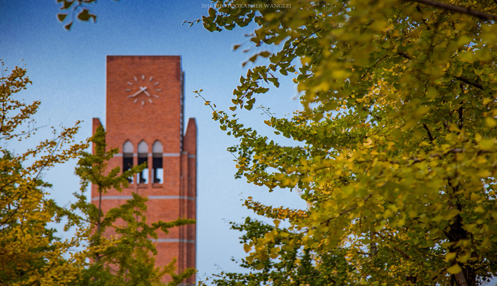 2025软科中国大学排名发布，浙大位列第三！