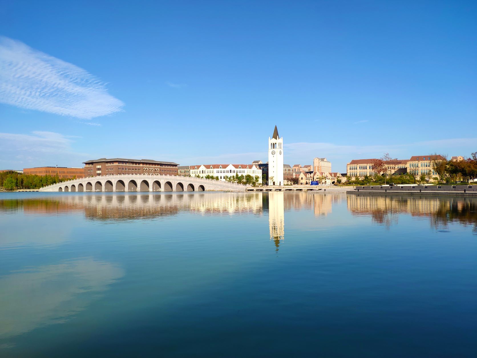 浙江大学主要领导会见阿方代表并出席中阿公共卫生科技合作中心启动会