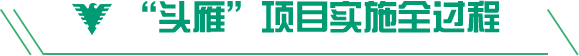 浙大头雁项目培训实施
