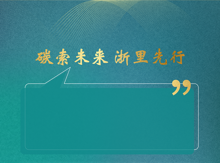 中国碳路者项目